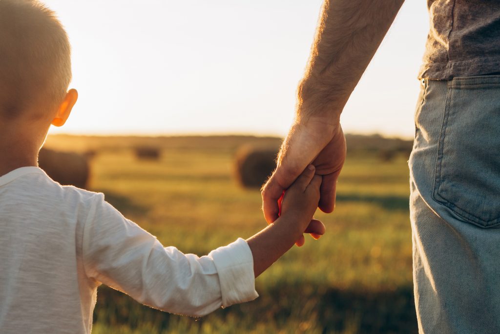 Child and adult holding hands in a sunlit field at sunset, seen from the back.